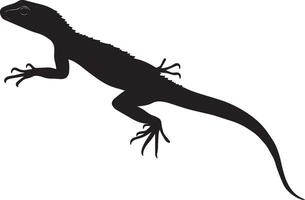 Lizard on the hunt form crouched, head reaching ahead, tail extended, and gaze fixed on prey in a black outline. vector