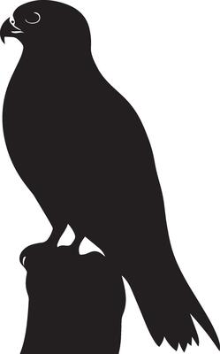 Falcon lounging sitting quietly, wings neatly tucked, and body still on a perch or the ground in a black outline.