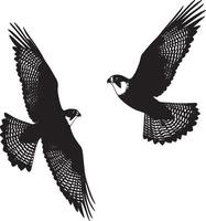Falcon Flapping Quick wing beats while hovering or gaining altitude. full length silhouette black illustration vector