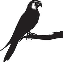 Falcon perched sitting upright on a branch or ledge, head tilted slightly in a full-length silhouette. vector