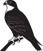 Falcon at rest perched on a surface or the ground, wings folded, and body motionless in a full-length silhouette. vector