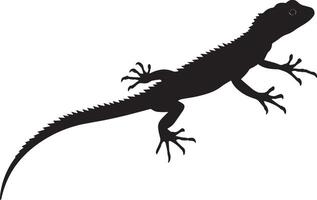 Lizard stalking head extended forward, body low to the ground, tail outstretched, and eyes intently focused in a full-length silhouette. vector