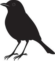 Robin in mid-hop body slightly elevated with both feet off the ground and tail raised slightly in a full-length silhouette. vector