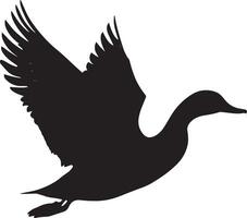 Duck in flight wings fully extended, body airborne, legs tucked underneath, and tail extended in a full-length silhouette. vector