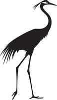 Crane in motion taking long strides with head extended forward, body steady, and legs straight in a full-length silhouette. vector