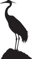 Crane Perching Sitting on a tall surface such as a rock or tree branch with neck slightly curved. full length silhouette black illustration vector