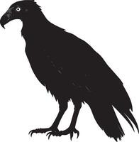 Vulture advancing walking slowly with head forward and wings slightly elevated in a complete silhouette illustration. vector