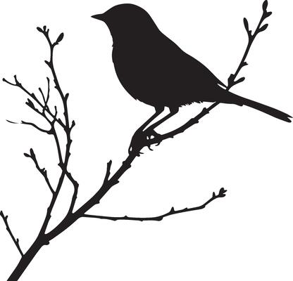 Robin Walking Small steps forward head bobbing slightly wings close to body. full length silhouette black illustration