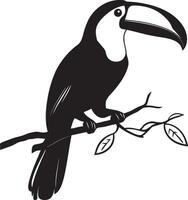 Toucan Perching Body upright sitting on a branch large beak slightly tilted. full length silhouette black illustration vector