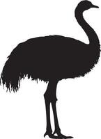 Ostrich in care using its beak to preen its feathers, body angled slightly for better access in a black outline. vector