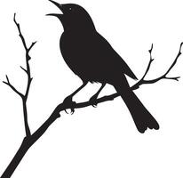 Robin Singing Beak open head slightly raised chest puffed out. full length silhouette black illustration vector
