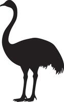 Ostrich at rest legs tucked beneath the body, neck curved slightly, and tail resting in a full-length silhouette. vector