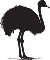 Ostrich Preening Beak reaching back cleaning feathers body slightly turned. full length silhouette black illustration vector
