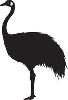 Ostrich lounging seated with legs drawn in, neck gently arched, and tail relaxed in a black outline. vector