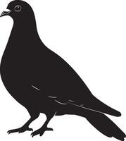 Pigeon striding taking a step ahead with one foot forward, head bobbing, and wings snugly held against its sides in a black outline. vector