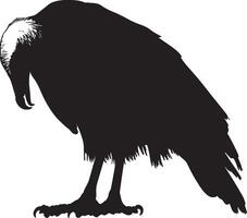 Vulture eating body bent forward, beak engaged with its meal, and wings slightly elevated in a black outline. vector