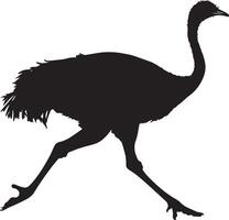 Ostrich Running Legs stretched mid-stride wings slightly open body leaning forward. full length silhouette black illustration vector
