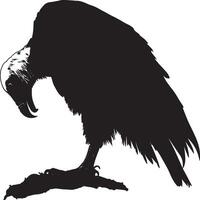 Vulture in action head down, tearing into food with wings slightly lifted for balance in a complete silhouette illustration. vector