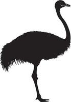 Ostrich Resting Body low to the ground legs folded neck slightly curved. full length silhouette black illustration vector