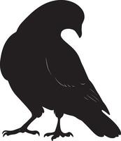 Pigeon foraging head lowered with beak touching the ground, legs slightly bent in a full-length silhouette. vector