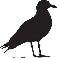 Seagull in Care Feathers smoothed with beak, body at rest, black silhouette. vector