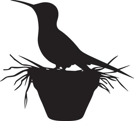 Hummingbird Nesting Perched in a tiny cup nest, head lifted, full silhouette .