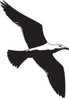 Seagull in Flight Wings wide open, body soaring, tail trailing, black silhouette . vector