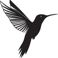 Hummingbird in Flight Body tilted forward, wings beating rapidly, tail streaming, black . vector