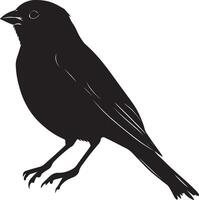Sparrow in Conversation Posture upright, head extended, wings slightly open, silhouette illustration. vector
