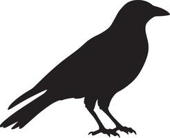 Crow Striding Slow steps, head forward, body steady, tail trailing, black silhouette . vector