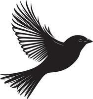 Sparrow in Flight Wings fully open, body soaring, tail trailing behind, black silhouette . vector