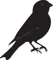 Sparrow Foraging pecking the ground with head down, full silhouette black . vector
