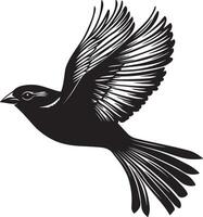 Sparrow Flying c Wings fully spread body in flight tail extended behind. full length silhouette black illustration vector