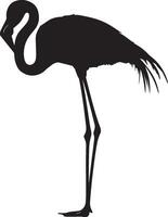 Flamingo Grooming Using beak to clean or arrange feathers while standing. full length silhouette black illustration vector