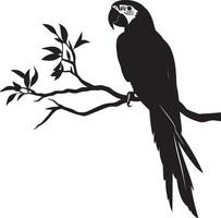 Macaw Climbing Gripping with talons climbing a tree or structure body angled. full length silhouette black illustration vector