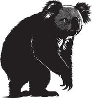 Koala in Motion Gentle movement, body low, paws taking soft steps, silhouette illustration. vector