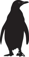 Penguin Waddling Short steps, body upright, tail trailing, black silhouette . vector