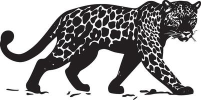 Leopard Stalking Low crouch, body tense, eyes fixed, tail still, black silhouette . vector