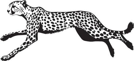 Cheetah Running Body fully stretched legs extended tail in swift motion. full length silhouette black illustration vector