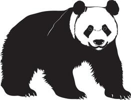 Panda Sniffing Nose forward, body slightly crouched, alert posture. full length silhouette black illustration vector