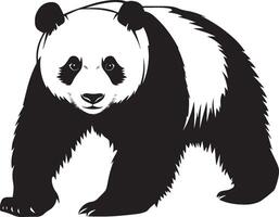 Panda Exploring Nose forward, body slightly bent, attentive posture, full silhouette design. vector