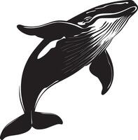 Whale Calling Mouth slightly open, blowing air, body submerged, silhouette illustration. vector