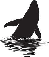 Whale Surfacing Head and back partially above water, tail visible beneath the surface. full length silhouette black illustration vector