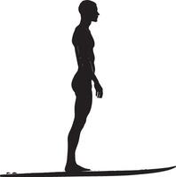 Standing on Surfboard A surfer balanced upright, knees slightly bent, arms extended for stability. full length silhouette black illustration vector