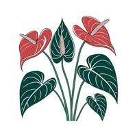 Vibrant Anthurium on White Surface vector