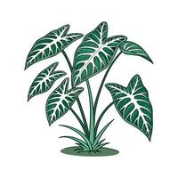 Elegant Arrowhead Display on White vector