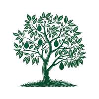 Elegant Avocado Tree Display on White vector