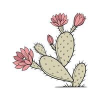 Elegant Beavertail Cactus Display on White vector
