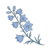 Vibrant Blue Delphinium on White Surface vector