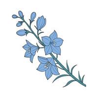 Elegant Blue Delphinium Display on White vector